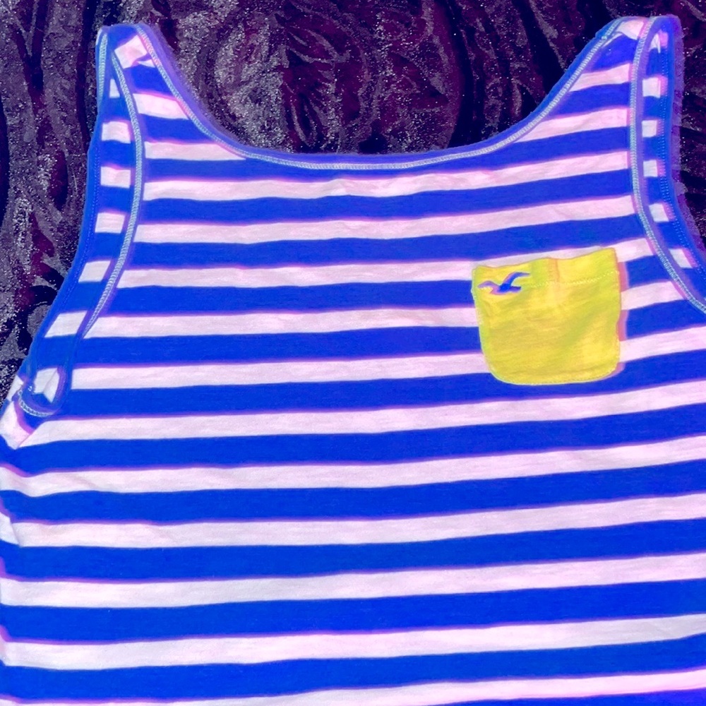 Hol lister crop top ..barely wore size small